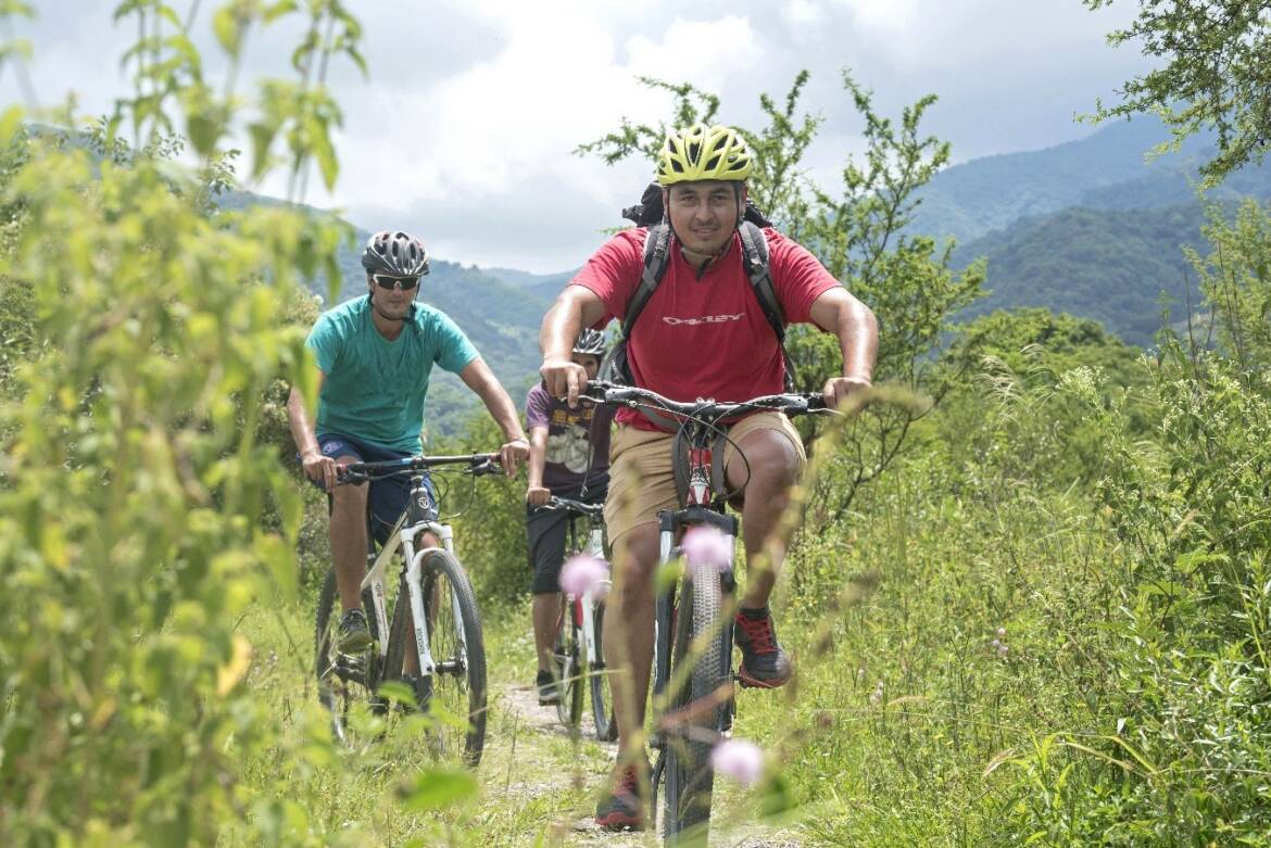 mtb.jpg