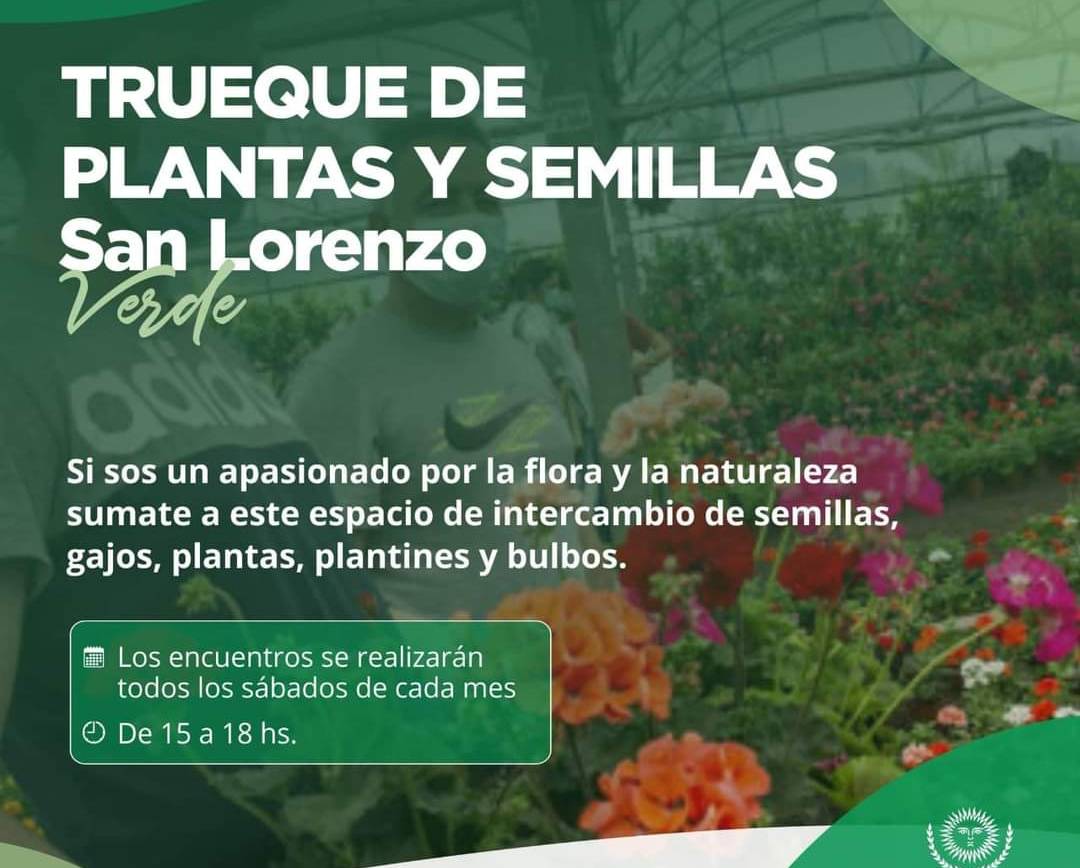 San Lorenzo Verde: Inicia el ciclo de intercambio de plantas y semillas