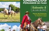 Llega el 2° Concurso departamental de Caballos peruanos de paso