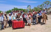 Exitoso 2° Encuentro Nacional de Mulares y Asnales en San Lorenzo