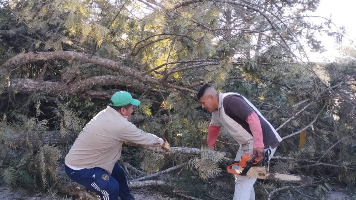 LA MUNICIPALIDAD DESTACA EL GRAN TRABAJO DE LOS EQUIPOS DE EMERGENCIA ANTE LOS INCENDIOS