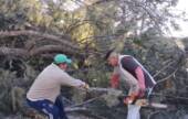 LA MUNICIPALIDAD DESTACA EL GRAN TRABAJO DE LOS EQUIPOS DE EMERGENCIA ANTE LOS INCENDIOS