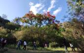 SAN LORENZO CELEBRA EL DÍA NACIONAL DEL ÁRBOL CON UNA CAMINATA EN LAS YUNGAS