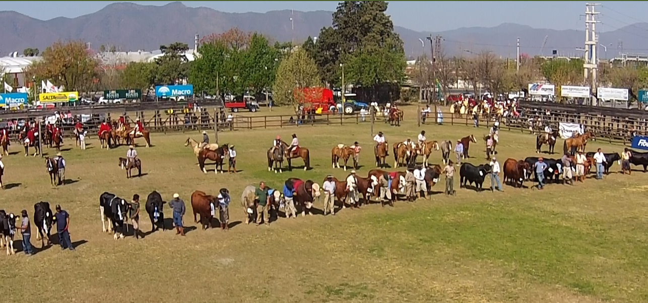 SAN LORENZO PARTICIPARÁ DE LA 80º EDICIÓN DE LA EXPO RURAL SALTA 2024