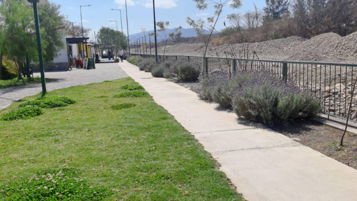 ¡SUMATE AL PROGRAMA DE PADRINAZGO Y CONSTRUYAMOS JUNTOS UN SAN LORENZO MÁS VERDE!