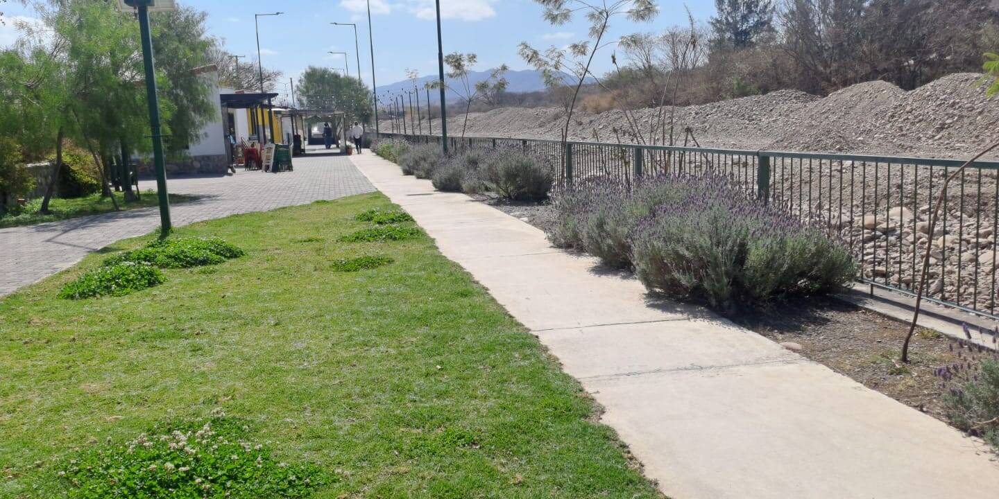 ¡SUMATE AL PROGRAMA DE PADRINAZGO Y CONSTRUYAMOS JUNTOS UN SAN LORENZO MÁS VERDE!