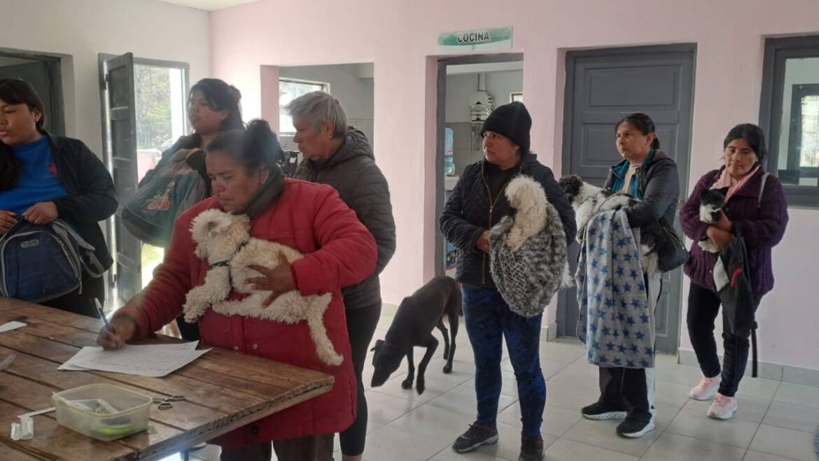 ATOCHA PUEBLO TUVO SU JORNADA DE CASTRACIÓN Y VACUNACIÓN ANIMAL