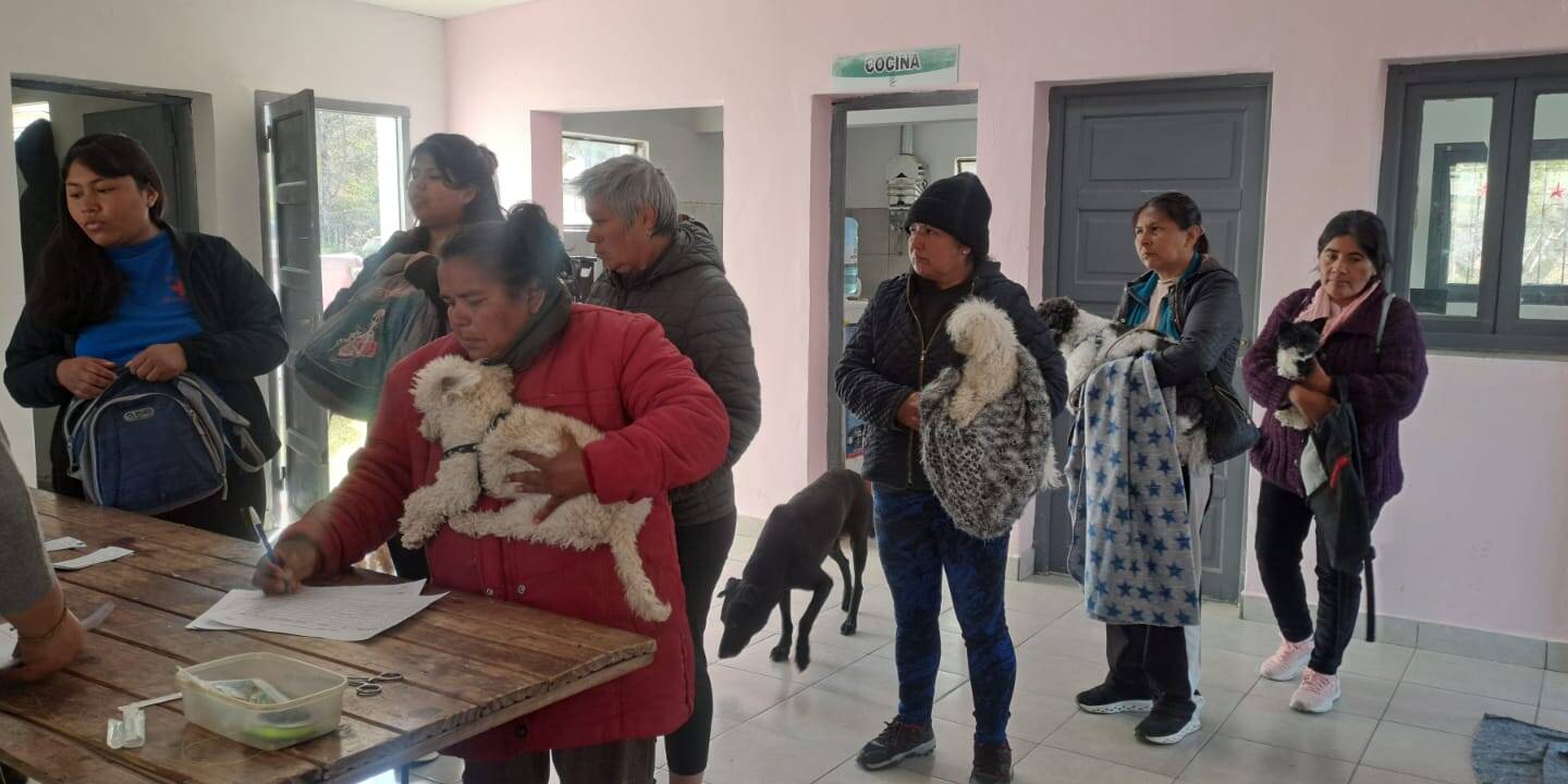 ATOCHA PUEBLO TUVO SU JORNADA DE CASTRACIÓN Y VACUNACIÓN ANIMAL