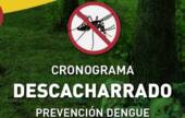 PLAN DE DESCACHARRADO: SIN MOSQUITO NO HAY DENGUE