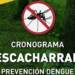 PLAN DE DESCACHARRADO: SIN MOSQUITO NO HAY DENGUE