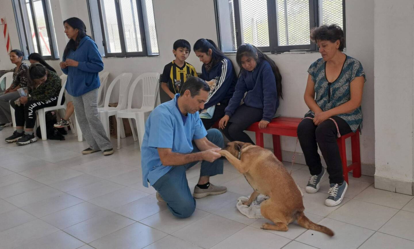 LA CIÉNEGA SE PREPARA PARA UNA NUEVA JORNADA DE CASTRACIÓN Y VACUNACIÓN ANIMAL