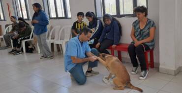 LA LONJA SE PREPARA PARA UNA NUEVA JORNADA DE CASTRACIÓN Y VACUNACIÓN ANIMAL