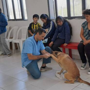 LA LONJA SE PREPARA PARA UNA NUEVA JORNADA DE CASTRACIÓN Y VACUNACIÓN ANIMAL