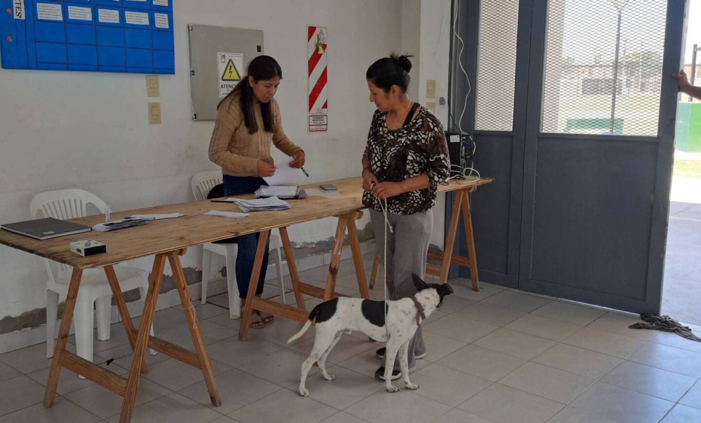 CUIDADO ANIMAL: NUEVA JORNADA DE VACUNACIÓN Y CASTRACIÓN EN VILLA SAN LORENZO