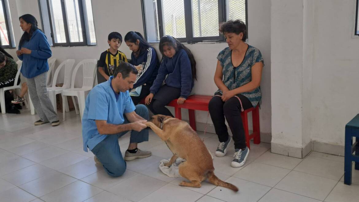 PRÓXIMA JORNADA DE VACUNACIÓN Y CASTRACIÓN EN VILLA SAN LORENZO