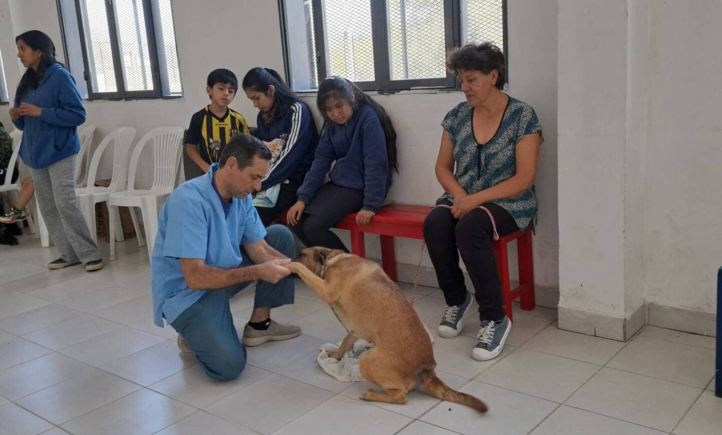 PRÓXIMA JORNADA DE VACUNACIÓN Y CASTRACIÓN EN VILLA SAN LORENZO