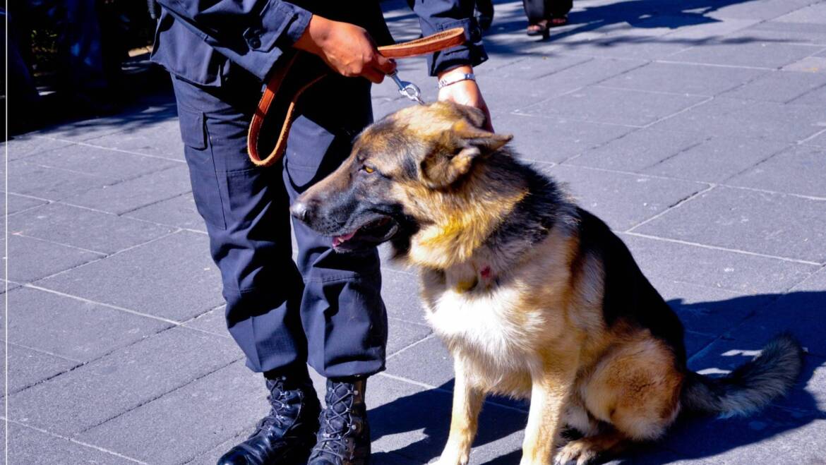 EL JUEVES 31 EN LA PLAZA EJÉRCITO ARGENTINO, HABRÁ «JORNADA INSTITUICIONAL ITINERANTE» A CARGO DE LA POLICIA DE SALTA