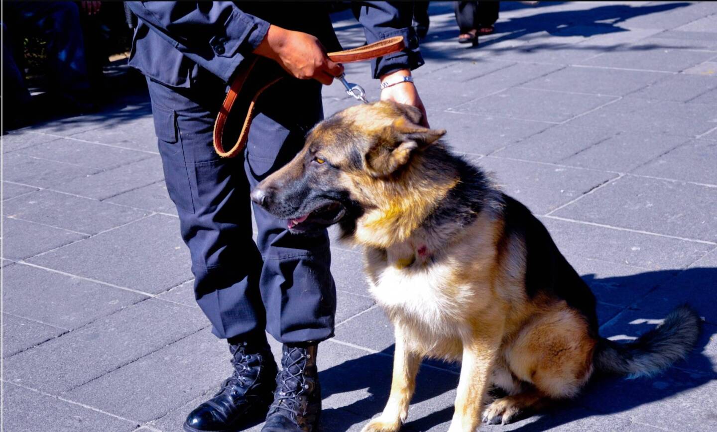 EL JUEVES 31 EN LA PLAZA EJÉRCITO ARGENTINO, HABRÁ «JORNADA INSTITUICIONAL ITINERANTE» A CARGO DE LA POLICIA DE SALTA