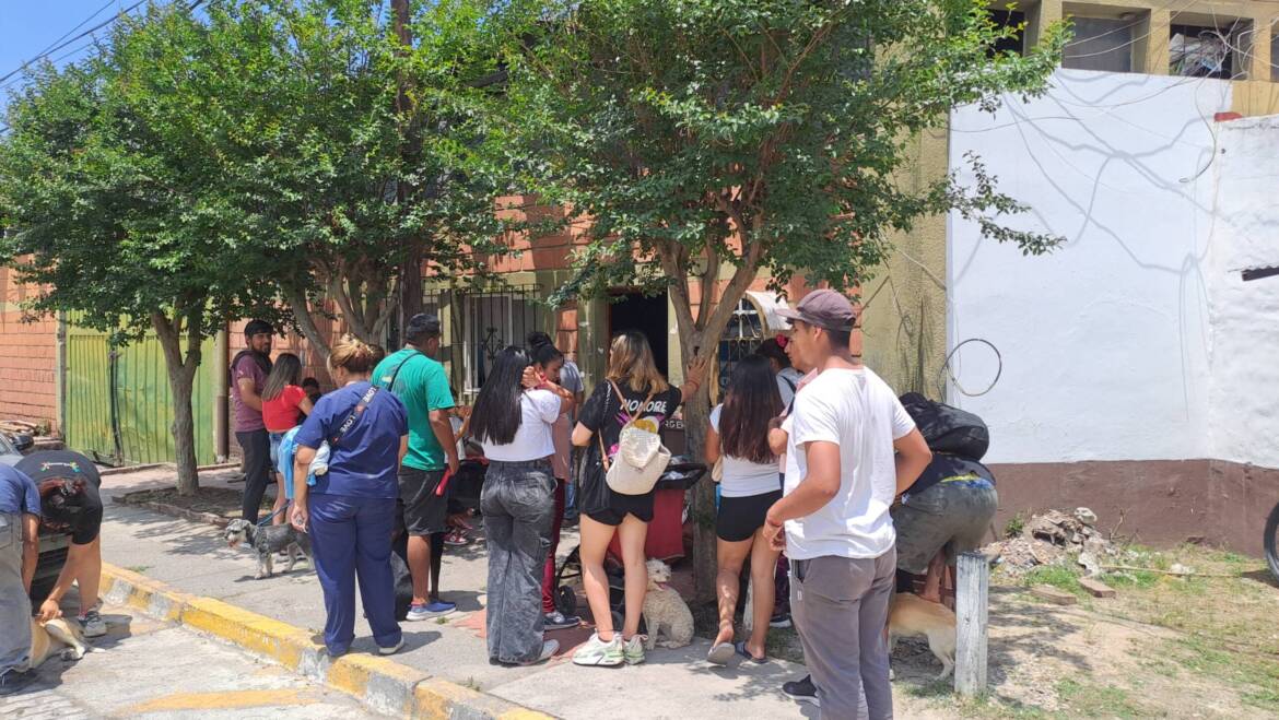 EXITOSA JORNADA DE CASTRACIÓN Y VACUNACIÓN EN LA VILLA SAN LORENZO