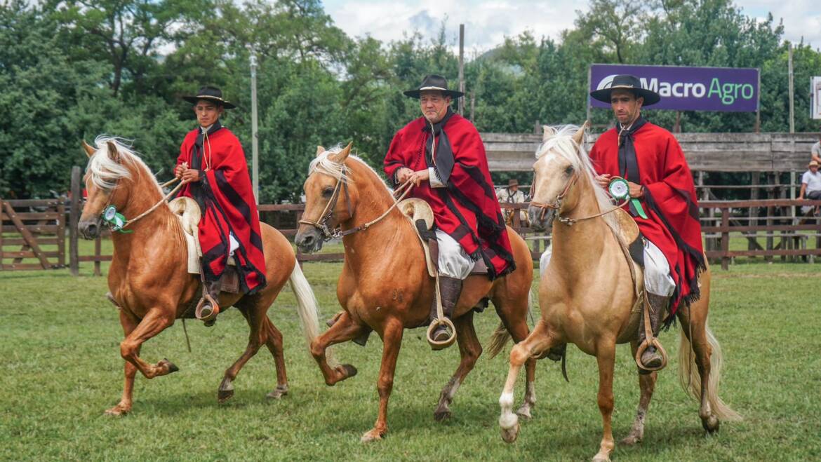 SAN LORENZO SE PREPARA PARA LA TERCERA EDICIÓN DEL CONCURSO DEPARTAMENTAL DE CABALLOS PERUANOS DE PASO