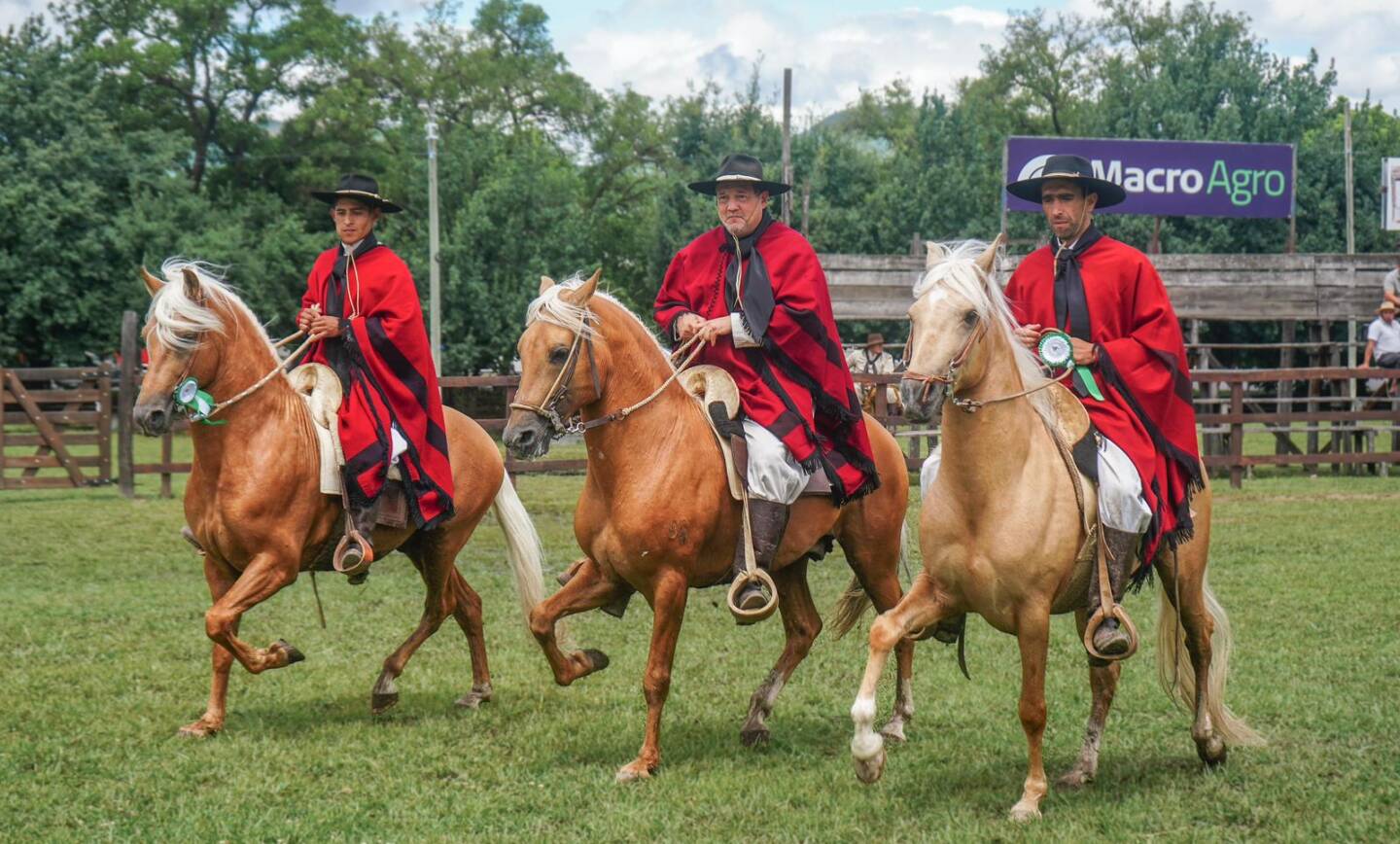 SAN LORENZO SE PREPARA PARA LA TERCERA EDICIÓN DEL CONCURSO DEPARTAMENTAL DE CABALLOS PERUANOS DE PASO