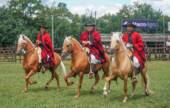 SAN LORENZO SE PREPARA PARA LA TERCERA EDICIÓN DEL CONCURSO DEPARTAMENTAL DE CABALLOS PERUANOS DE PASO