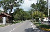 La Municipalidad de San Lorenzo retiró cartelería política prohibida en la vía publica