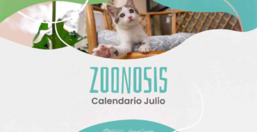 Conocé las fechas y lugares de castración y vacunación antirrábica en San Lorenzo
