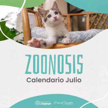 Conocé las fechas y lugares de castración y vacunación antirrábica en San Lorenzo