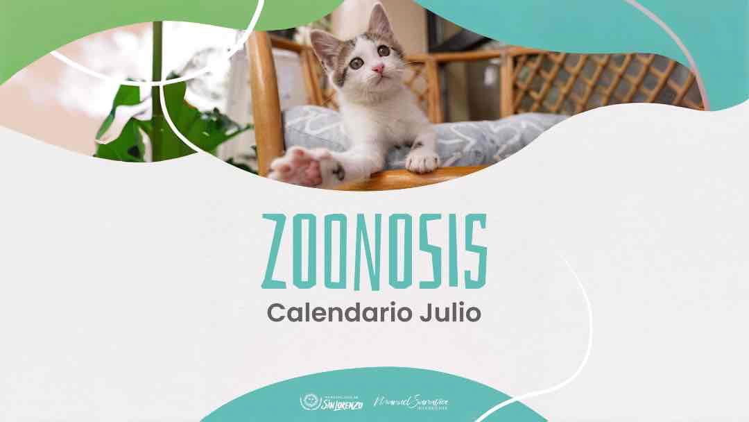 Conocé las fechas y lugares de castración y vacunación antirrábica en San Lorenzo