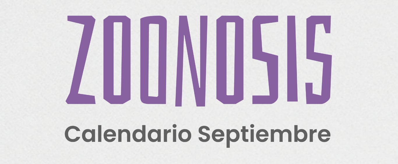 Conocé las fechas y lugares de castración y vacunación antirrábica en San Lorenzo