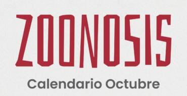 Conocé las fechas y lugares de castración y vacunación antirrábica en San Lorenzo