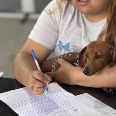 Conocé las fechas y lugares de castración y vacunación antirrábica en San Lorenzo
