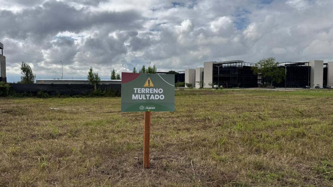 WhatsApp-Image-2026-03-19-at-10.47.40-1-1170x659