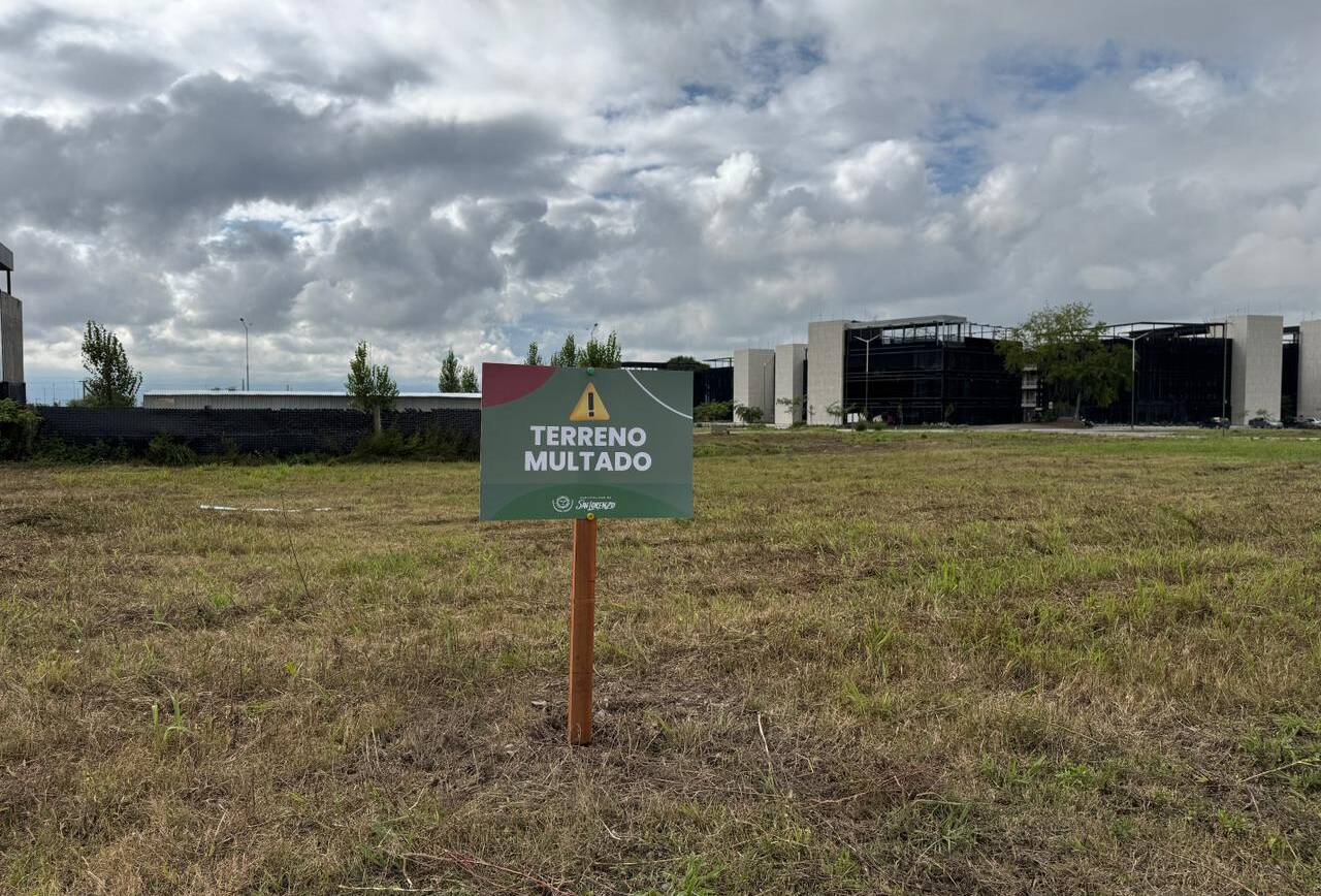 La Municipalidad de San Lorenzo notificó a más de 30 dueños de terrenos baldíos en mal estado