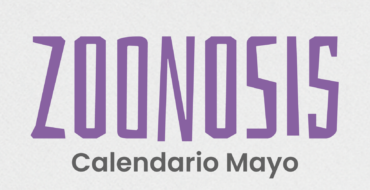 Conocé las fechas y lugares de castración y vacunación antirrábica en San Lorenzo