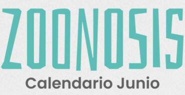 Conocé las fechas y lugares de castración y vacunación antirrábica en San Lorenzo