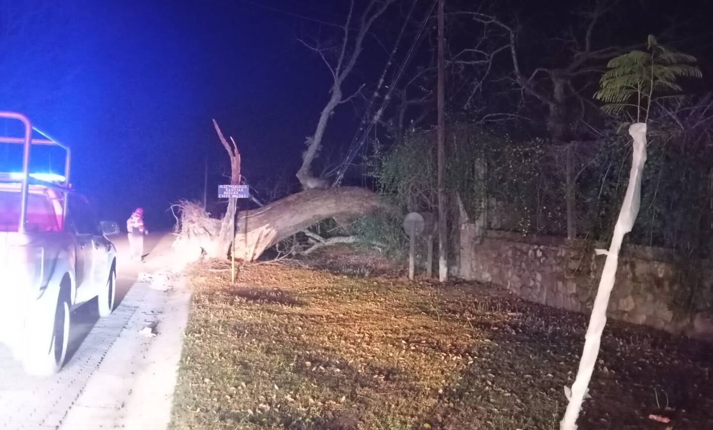 La Municipalidad de San Lorenzo desplegó un intenso operativo de emergencia tras los fuertes vientos