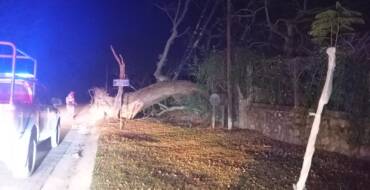 La Municipalidad de San Lorenzo desplegó un intenso operativo de emergencia tras los fuertes vientos