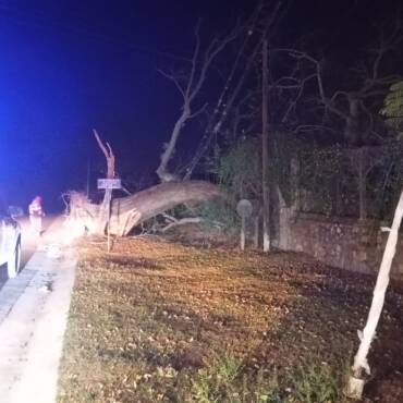 La Municipalidad de San Lorenzo desplegó un intenso operativo de emergencia tras los fuertes vientos