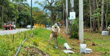La Municipalidad de San Lorenzo inició la temporada de plantación de árboles