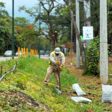 La Municipalidad de San Lorenzo inició la temporada de plantación de árboles