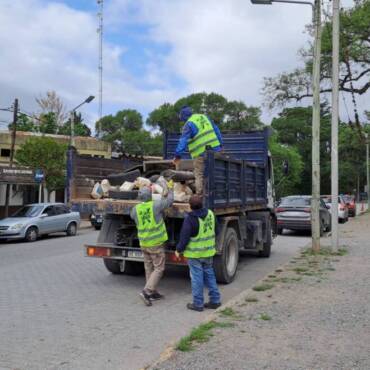 La Municipalidad de San Lorenzo realizará un operativo de descacharrado en los barrios